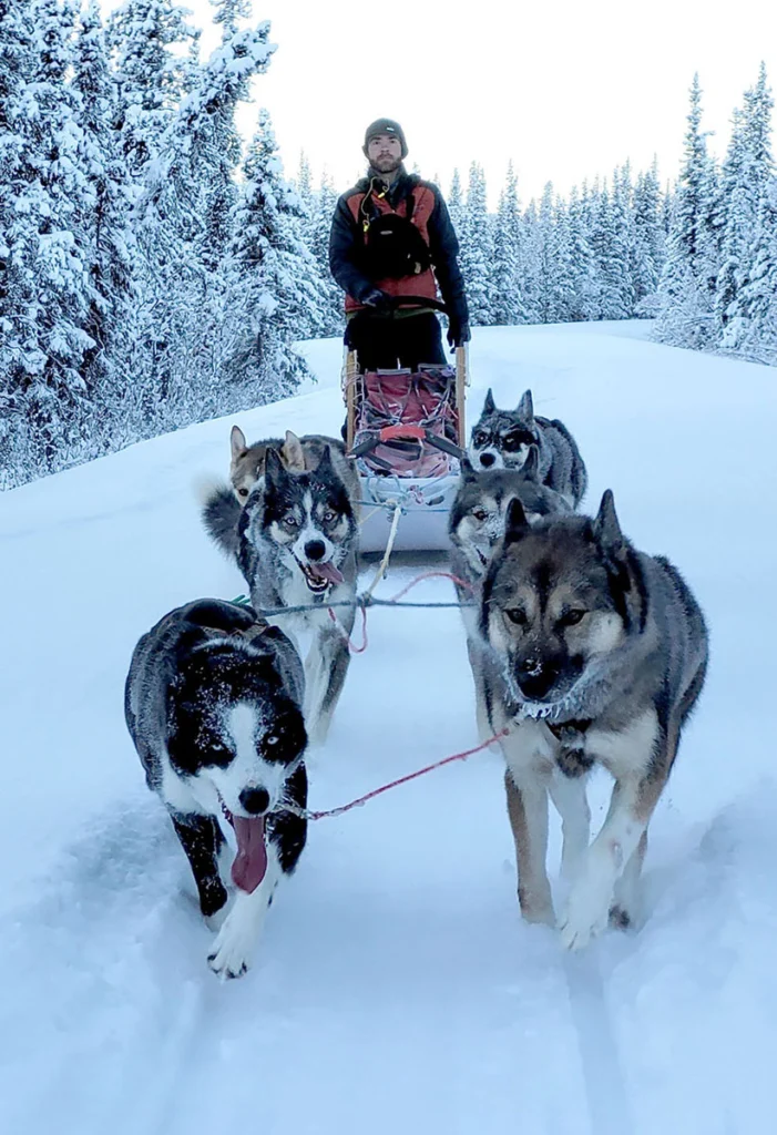 A young person in winter gear on a dog sled with a team of six dogs pulling him through the snow