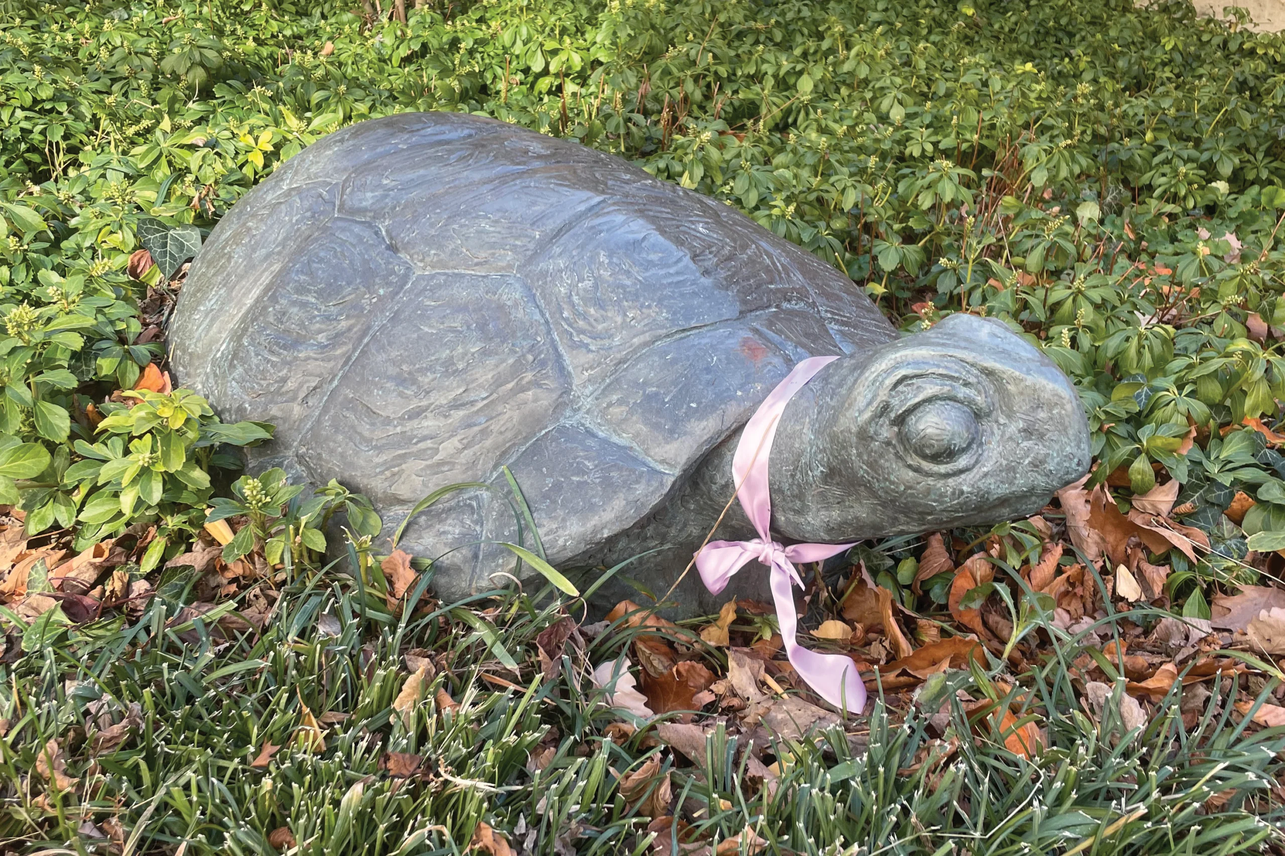 Turtle Power