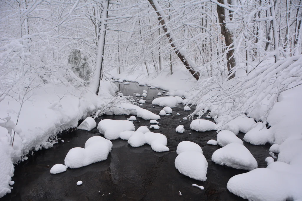 A creek on the Appalachian Trail with trees and rocks covered in snow