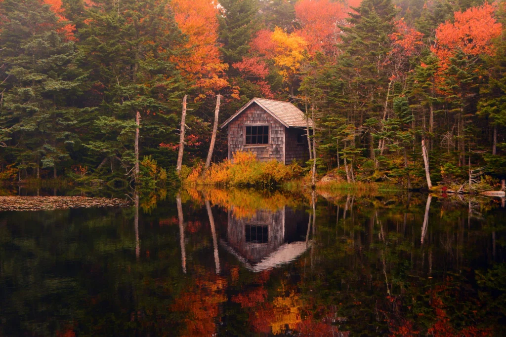 A shack near a lake surrounded by evergreen trees and fall foliage