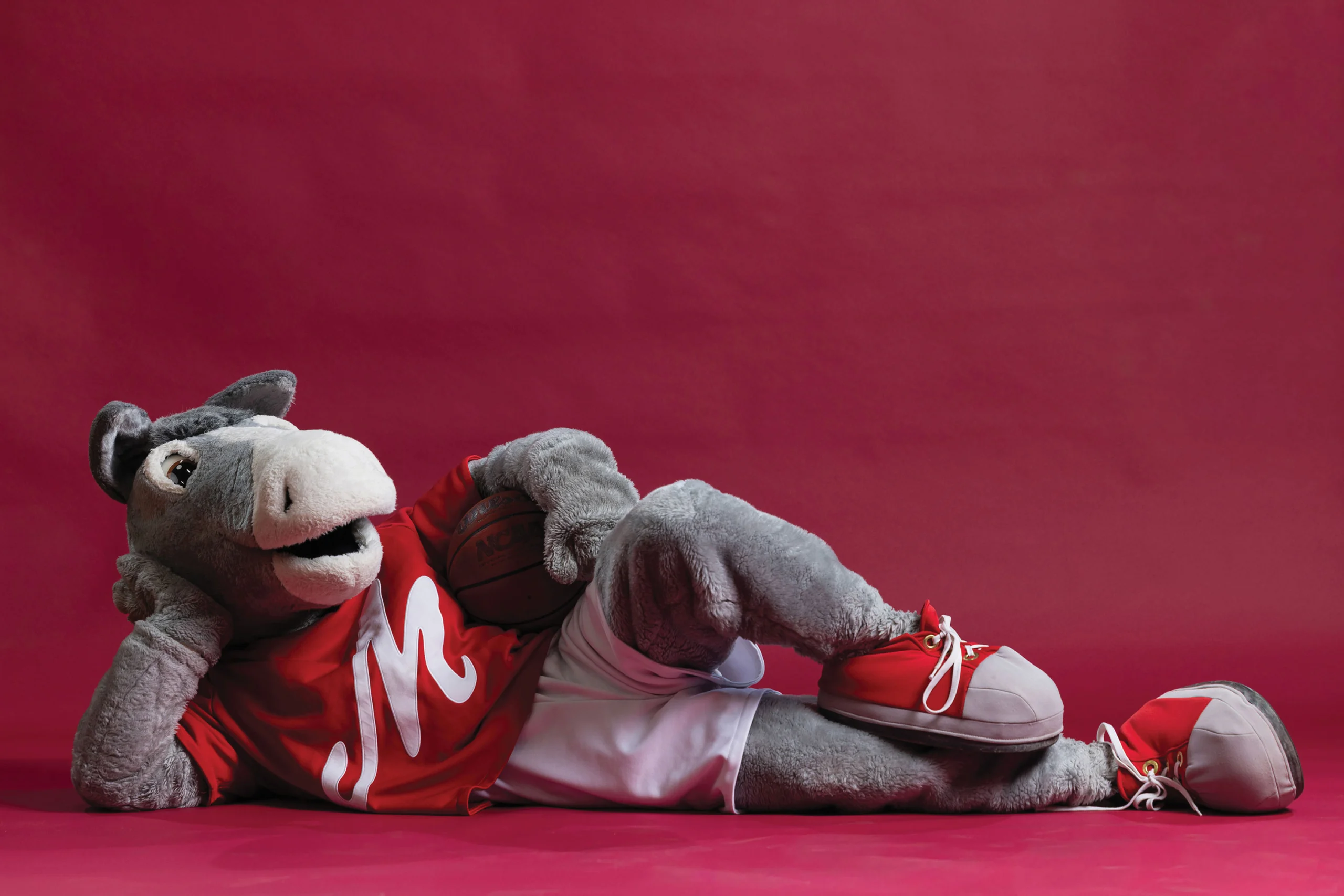 A college mascot, a mule, wearing a red shirt with a white M on it, poses lying down on a red backdrop